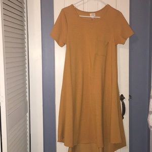 LulaRoe Carly dress